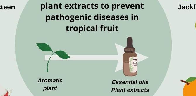 Essential cleaning supplies how to clean toilet jets