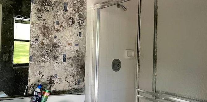 Quick Tips To Clean Bathroom Door Mold Effectively! - Bathroom Wiki