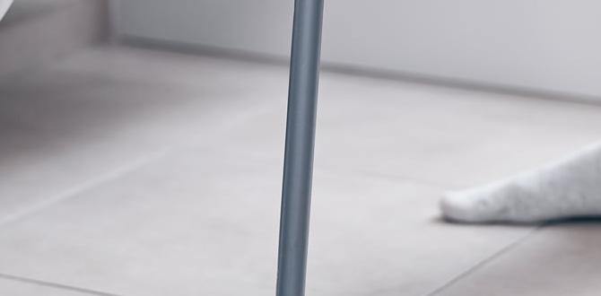 disinfect bathroom floor disinfect bathroom floor