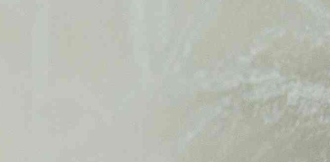 How To Remove Shower Door Soap Scum Easily & Effectively - Bathroom Wiki