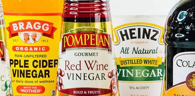 vinegar for bathroom mold